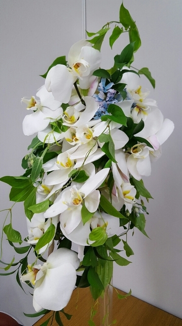 20170417_142024.jpg