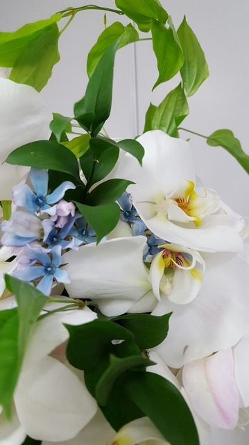 20170417_142035.jpg