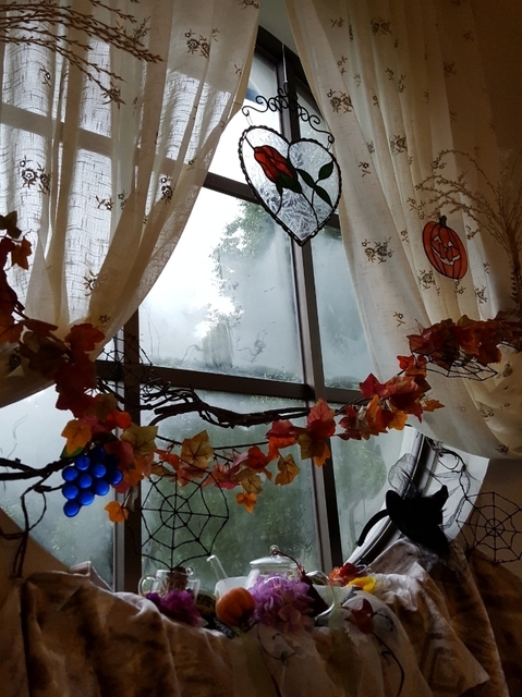 20171016_154953.jpg
