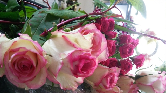 DSC_4887.JPG