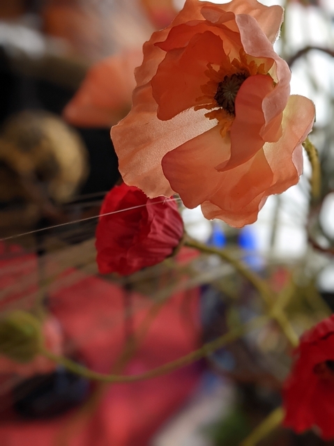 PXL_20210810_065731944.PORTR.jpg