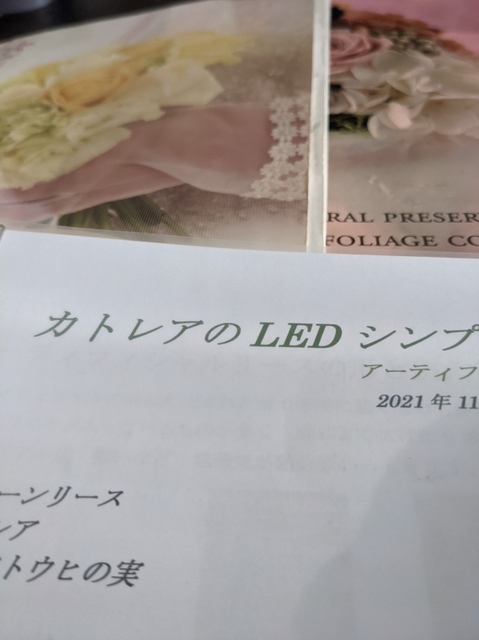 PXL_20211108_055601921.jpg