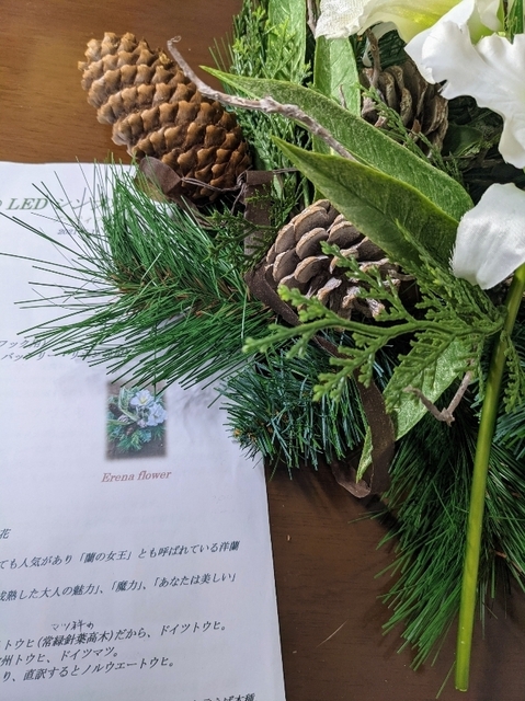 PXL_20211208_083421070.jpg