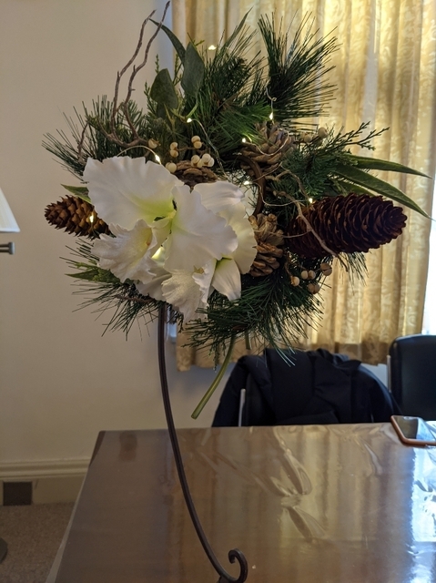 PXL_20211215_045246943.jpg