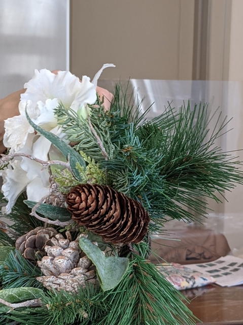 PXL_20211215_045427434.jpg