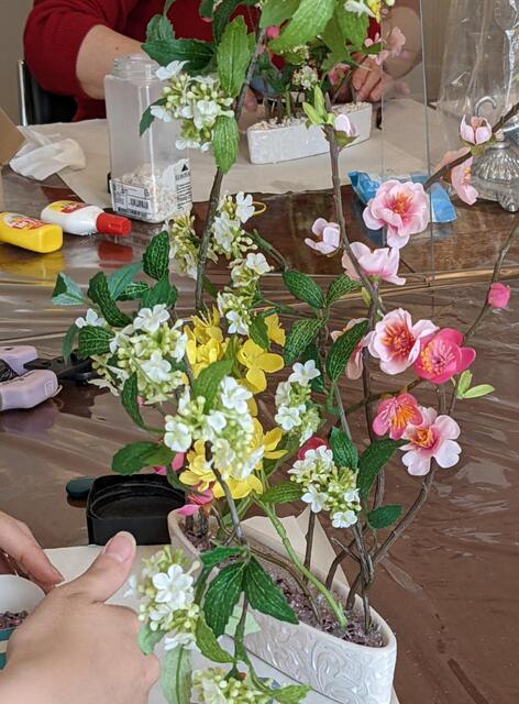c3dcbf23336281d4fd0899c3bc640805-PXL_20220215_054723626.MP.jpg