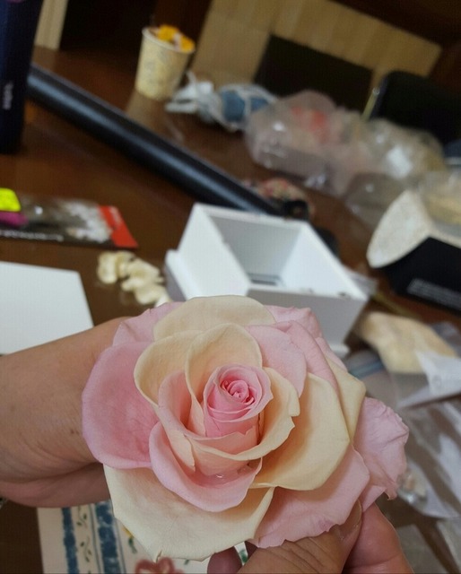 20160531_141153-1-1.jpg