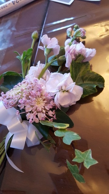 20170221_120015.jpg