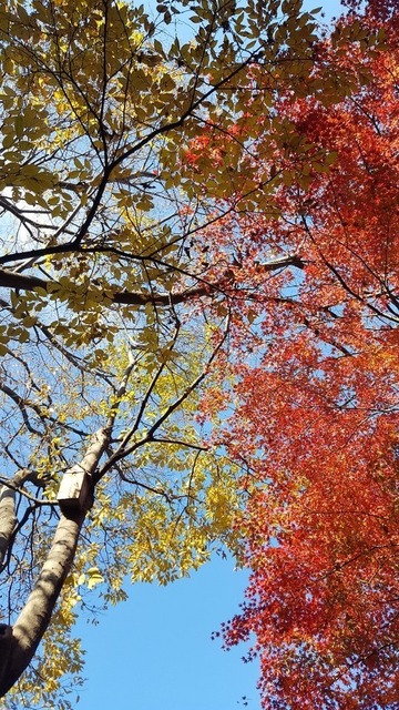 20171205_095651.jpg