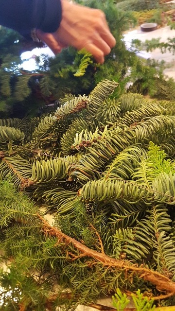 20171205_115601.jpg
