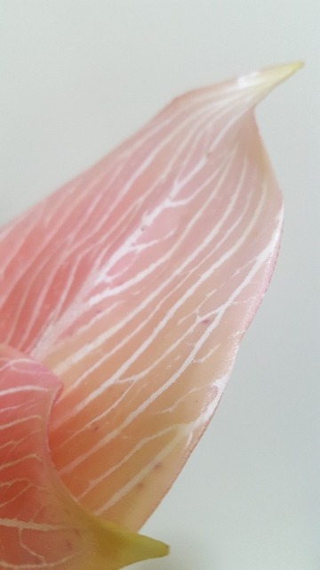20180120_155907.jpg
