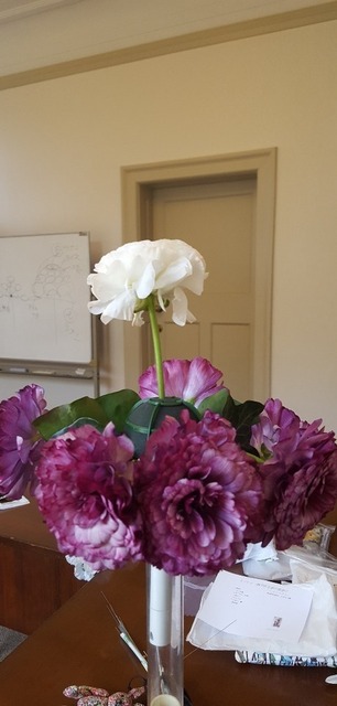 20180314_093207.jpg