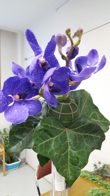 20180319_101940.jpg