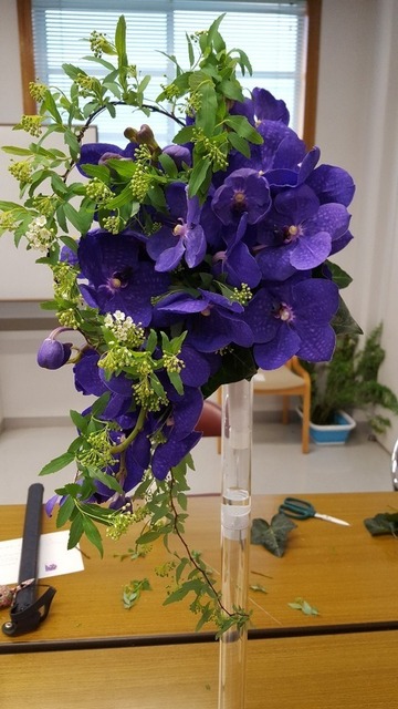 20180319_114931.jpg
