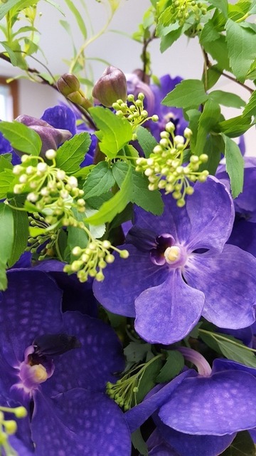 20180319_114940.jpg
