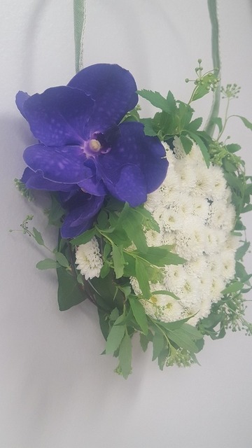 20180319_134125.jpg