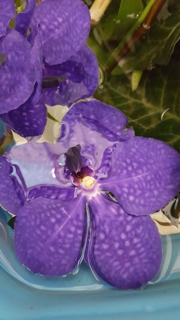 20180319_122237.jpg