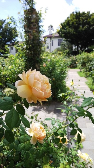 DSC_1279.JPG
