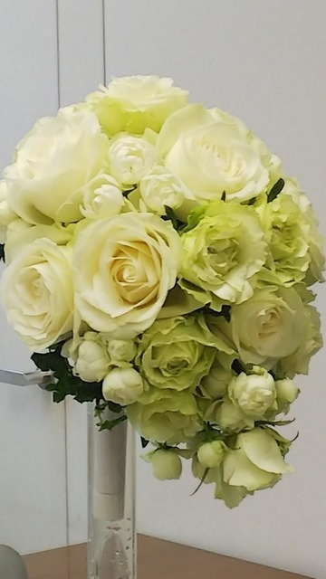 IMG_20181030_205716.jpg