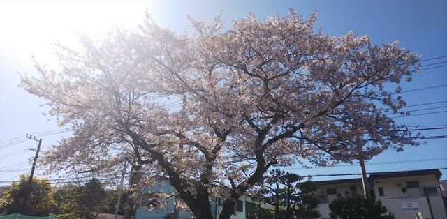 IMG_20190409_193814.jpg