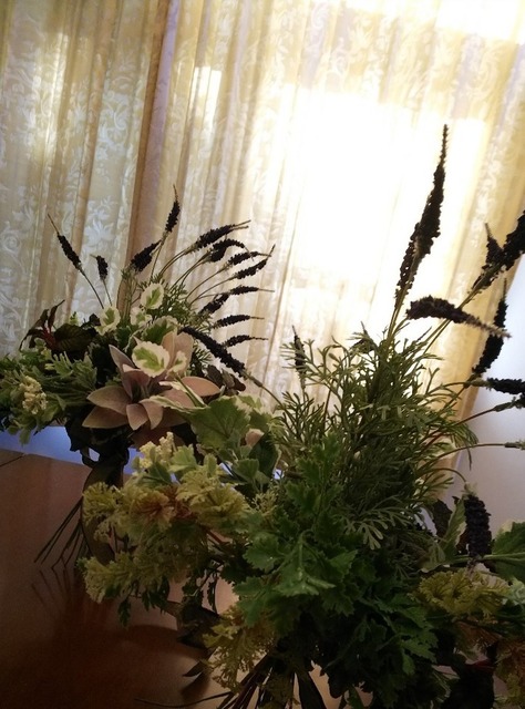 IMG_20190416_173203.jpg