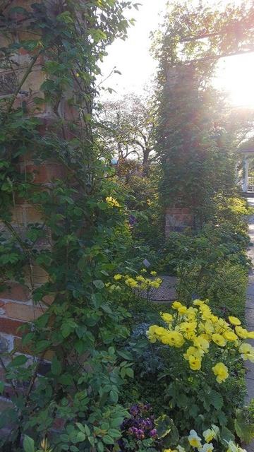 DSC_6408.JPG