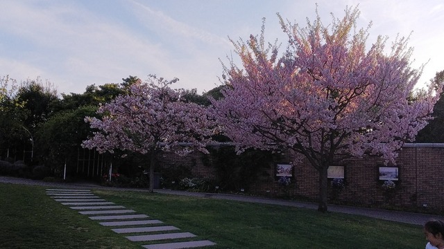 DSC_6418.JPG