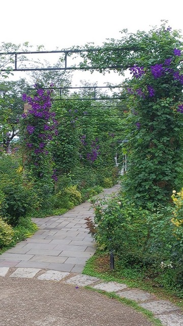 DSC_7851.JPG