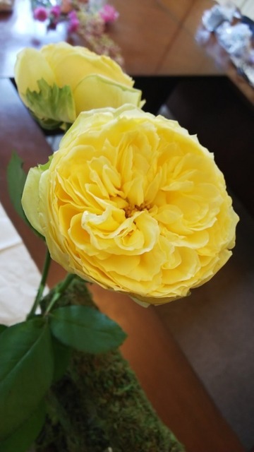 DSC_9022.JPG