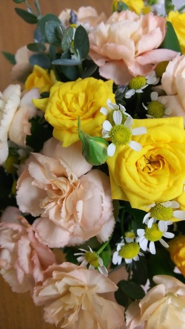 DSC_9188.JPG