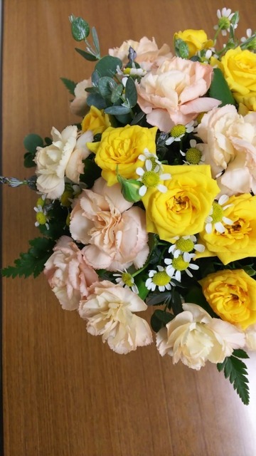 DSC_9187.JPG