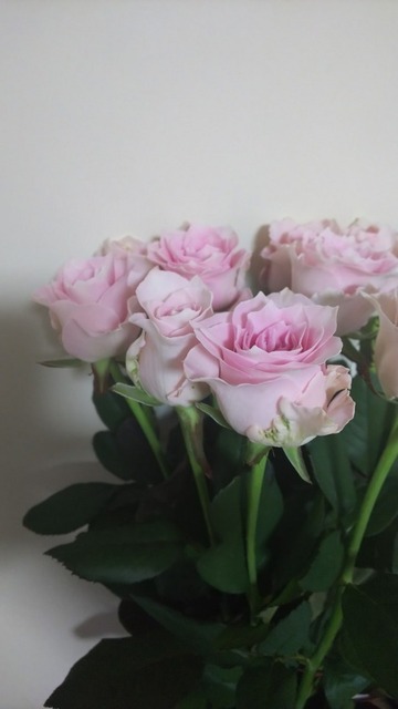 DSC_8982.JPG