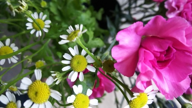 DSC_9512.JPG