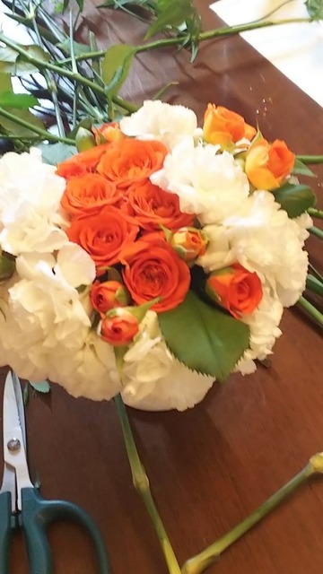 IMG_20191004_112616.jpg