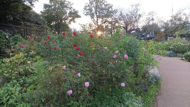 line_37985163577851.jpg