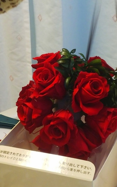IMG_20191204_191956.jpg