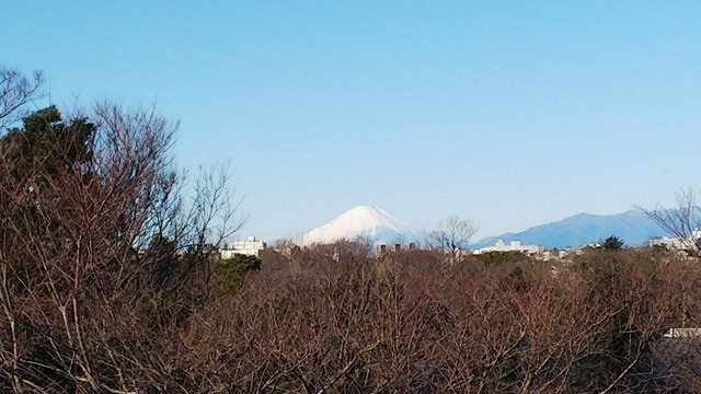 DSC_0798.JPG