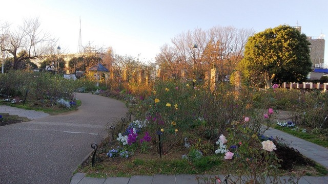 IMG_20200107_220428.jpg