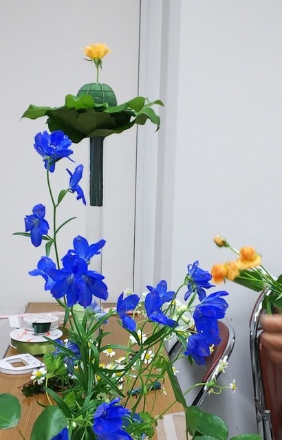 IMG_20200122_203313.jpg