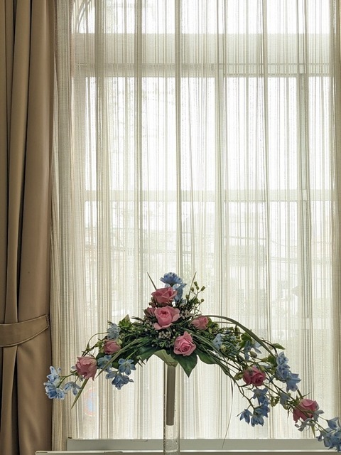 PXL_20230412_043950437.jpg