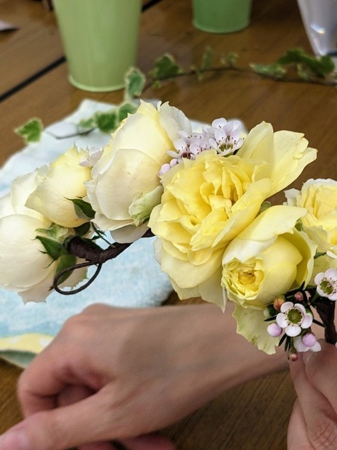 PXL_20230413_063713787.jpg
