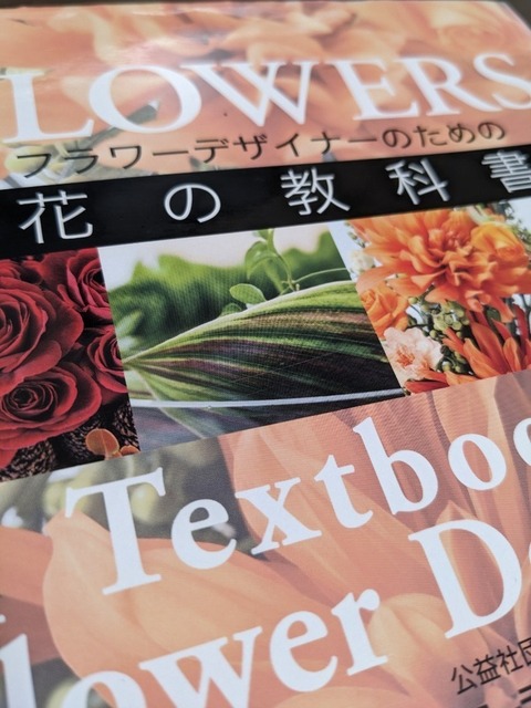 PXL_20230413_131529653.jpg