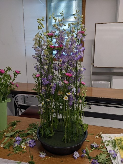 PXL_20230427_033113602.jpg