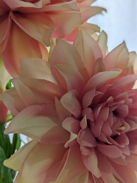 PXL_20230710_231921744.PORTRAIT.jpg