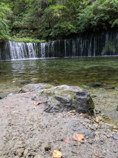 PXL_20230919_044442396.jpg