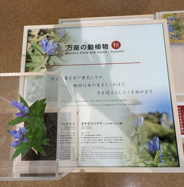 PXL_20230919_023150619~3.jpg