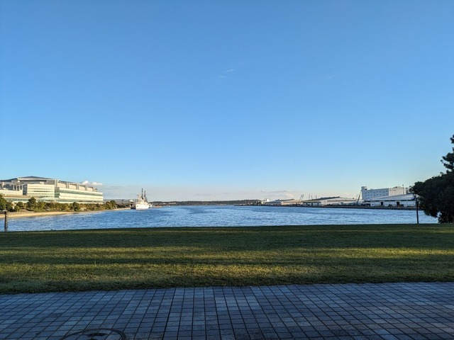 PXL_20231030_065556883.jpg