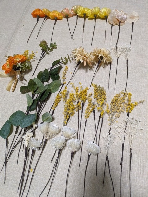 PXL_20240323_050006529.jpg