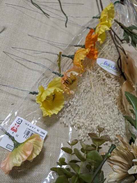 PXL_20240323_024237324.jpg