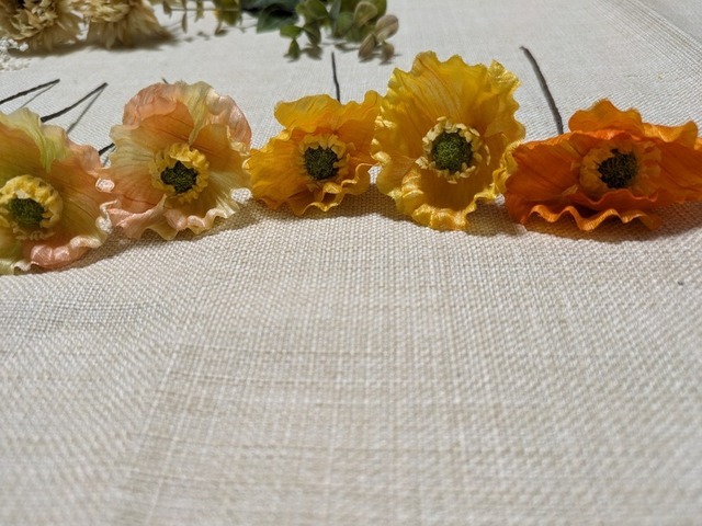 PXL_20240323_050342336.jpg